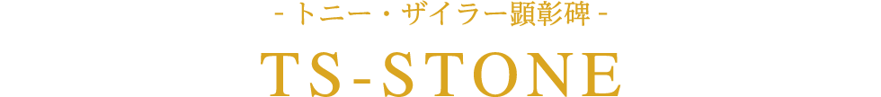 TS-STONE
